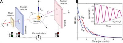 Time-Reversal Symmetry Breaking in Re-Based Superconductors: Recent Developments